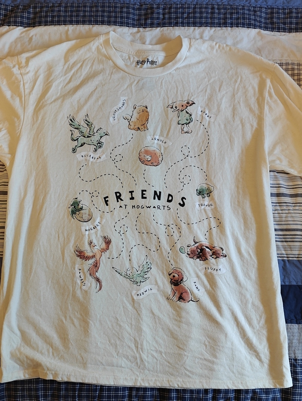 Harry Potter Tshirt With Magical Creature Friends, Size XL